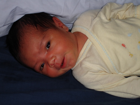 Cute face 3 24 Sept.jpg